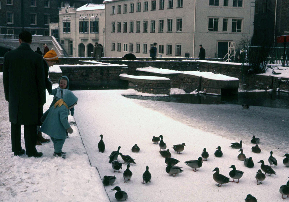 Ducks on the frozen River Cam by Mill Bridge. January 1963. Photo: Henry Tribe. Ducks on the frozen River Cam by Mill Bridge. January 1963. Photo: Henry Tribe.