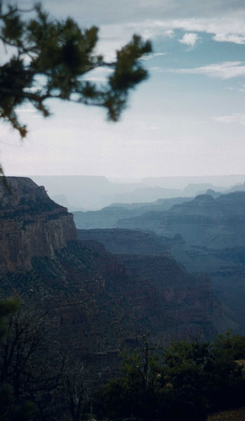 View from the Indian Gardens (now called the Havasupai Gardens), Grand Canyon (photo by Henry Tribe, 1958). View from the Indian Gardens (now called the Havasupai Gardens), Grand Canyon (photo by Henry Tribe, 1958).