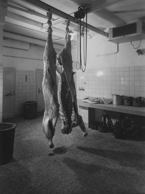 metzgerei-fritz-krebs-cool-room