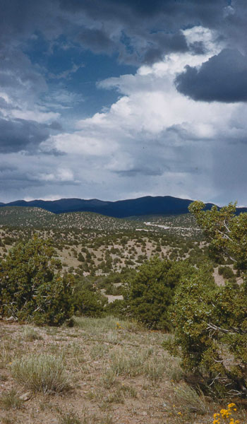 Typical New Mexico scenery near Santa Fe, with sparse ground cover (photo by Henry Tribe, 1958). Typical New Mexico scenery near Santa Fe, with sparse ground cover (photo by Henry Tribe, 1958).
